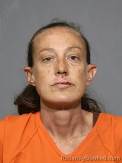Mugshot of Jami Jean North booked in York County, South Carolina on October 24, 2026