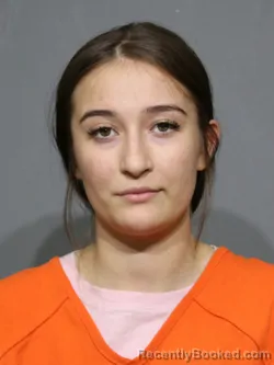 Mugshot of Brianna Letica Olivas Hearn booked in York County, South Carolina on October 26, 2026