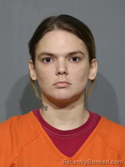 Mugshot of Casie Lorin Dansby booked in York County, South Carolina on October 27, 2026