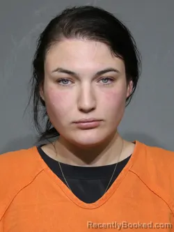 Mugshot of Liza Kate Tolson booked in York County, South Carolina on October 28, 2026