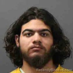 Mugshot of BRENTON DZHENIS NELSON