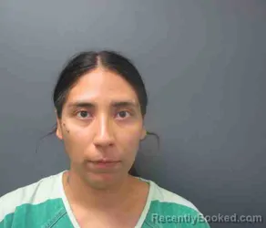 Mugshot of SISTA DEDIOS ABREGO booked in Payette County, Idaho on July 31, 2026