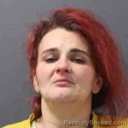Mugshot of BRANDI LEE ANN WYATT