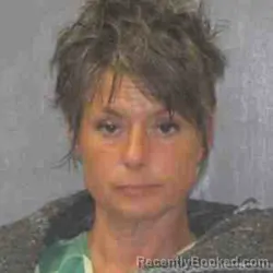 Mugshot of JANICE LUCILLE HAVENS booked in Payette County, Idaho on July 8, 2026