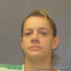 Mugshot of Blaine Roseann Williams booked in Payette County, Idaho on September 7, 2026