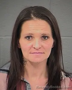 Mugshot of ANGELA DAWN MILLETT booked in Power County, Idaho on May 26, 2026