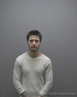 Mugshot of JACKSON WILLIAMSON RAMIREZ