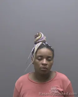 Mugshot of Jasmeka Shanelle Turner booked in Alamance County, North Carolina on August 13, 2026