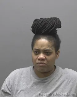 Mugshot of ALEXIS THEOLA MCKINNON booked in Alamance County, North Carolina on July 1, 2026