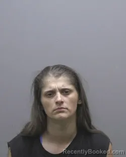 Mugshot of DESTINY CHANOAH SEGER booked in Alamance County, North Carolina on June 22, 2026
