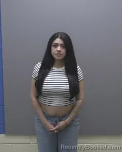 Mugshot of FRIDA YURELL HERNANDEZ RAMIREZ