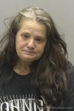 Mugshot of CATHY TONEY PHILLIPS booked in Alamance County, North Carolina on April 30, 2026