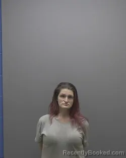 Mugshot of KAYLA NICHOLE RENEE DAVIS booked in Alamance County, North Carolina on April 4, 2026