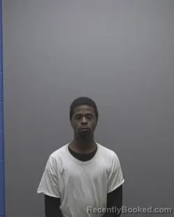 Mugshot of THOMAS LEVI WILLIAMSON