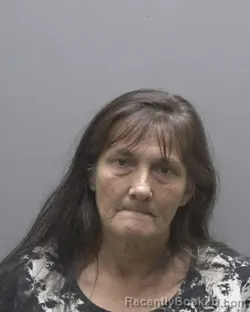Mugshot of PEGGY MICHELLE HATCH booked in Alamance County, North Carolina on June 18, 2026