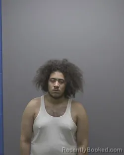 Mugshot of TRISTAN JADON HORTON