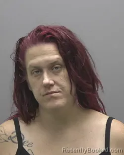 Mugshot of Amanda Nicolle Mcpeak