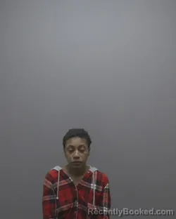 Mugshot of DENISEE LACHELLE MCKEVER