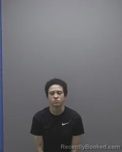 Mugshot of ANIYA LEIGHANN OGDEN