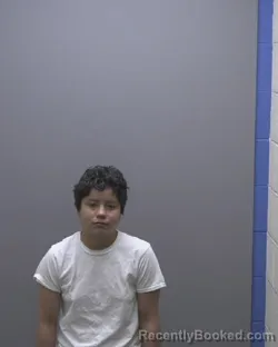 Mugshot of ASHLEY GISSELLE PACHECO