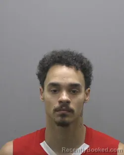 Mugshot of BRENDON BLAISE BALDWIN booked in Alamance County, North Carolina on July 11, 2026