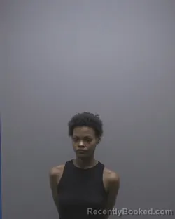 Booking photo from Alamance County, North Carolina