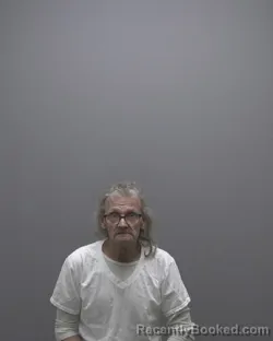Mugshot of RONALD DUANE PETTY