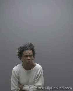 Mugshot of HEATHER LATHAM