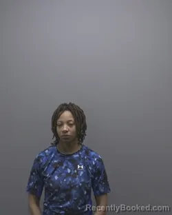 Mugshot of TALAYA AMARI SMITH