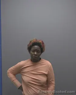 Mugshot of BRANDY NUNN NUNN