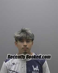 Booking photo from Alamance County, North Carolina