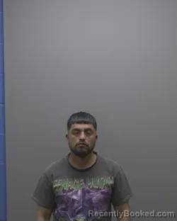 Mugshot of JESUS HERNANDEZ