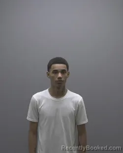 Mugshot of JAYDEN MICHAEL LEON