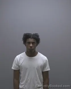 Mugshot of SAMUEL WILLIAMS