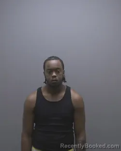 Mugshot of MICHAEL GOINS