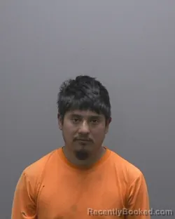 Mugshot of GERARDO VARGAS MEDINA