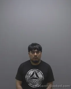 Mugshot of SERGIO FLORES-LINAREZ