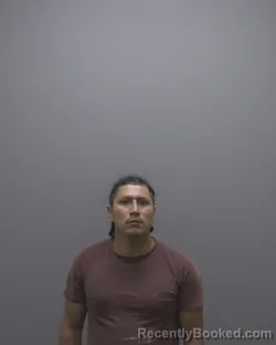 Mugshot of DIDIER FERNANDO RAMOS-CUENCA