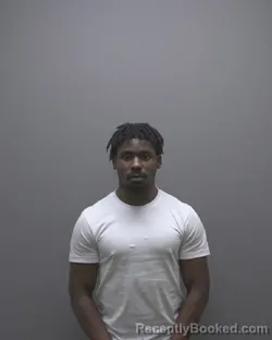 Mugshot of GOODNESS CHIZURU ODOEMENA