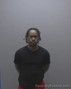 Mugshot of SANCHEZ LEMONT LEAKS