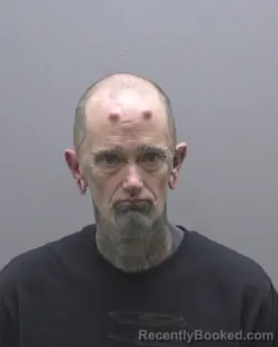 Mugshot of PATRICK P RONNING