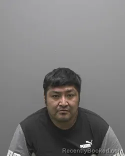 Mugshot of JOSE FERNANDO PALPMINO PALMA