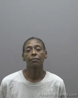 Mugshot of TAMMY RENEE CHEEK booked in Alamance County, North Carolina on June 26, 2026