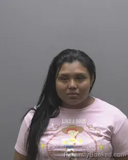 Mugshot of Ana Mendoza booked in Alamance County, North Carolina on August 25, 2026