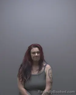 Mugshot of AMY CATHRINE COLLIER