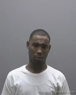 Mugshot of TYLER CORDA MCGEE