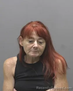 Mugshot of KIMBERLY DAWN WIMBISH booked in Alamance County, North Carolina on July 13, 2026