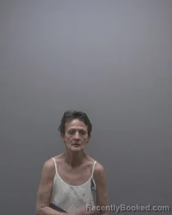 Mugshot of LISA ANN RASKO