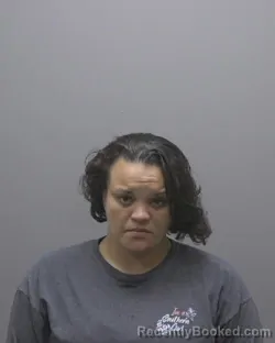Mugshot of LEIGH ANN TICKLES