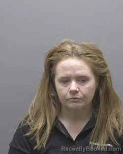 Mugshot of ROBIN TERRI JONES booked in Alamance County, North Carolina on June 20, 2026